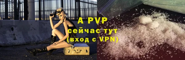 apvp Верея